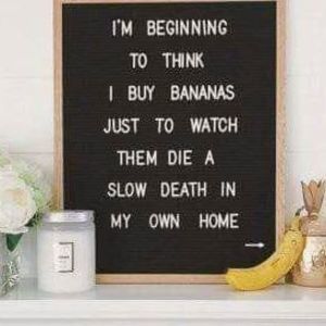 Meet your Posher, Tanya